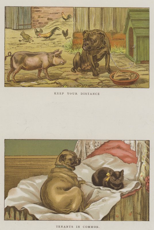 Cães humorísticos (cromolitho) de S.T. Dadd