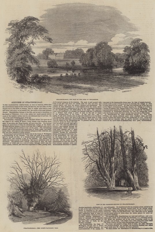 Esboços de Strathfieldsay de Samuel Read