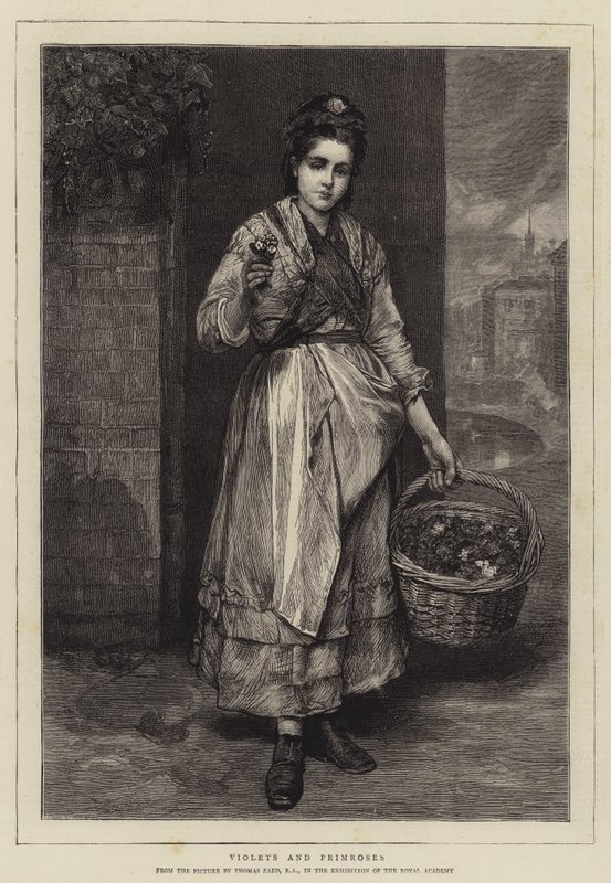 Violetas e Prímulas de Thomas Faed
