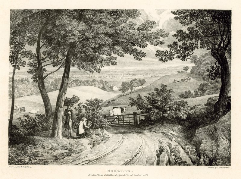 Norwood, Londres de Thomas Mann Baynes