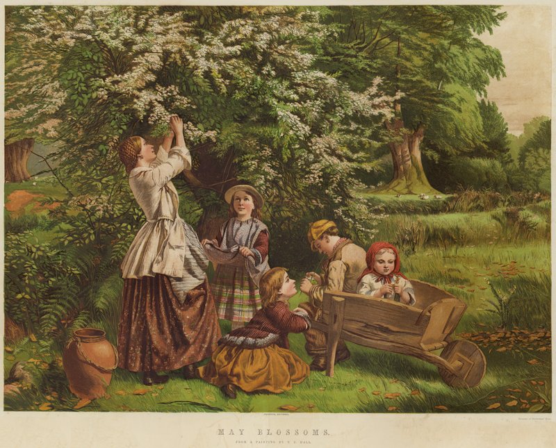 Flores de maio (cromolitho) de Thomas P. Hall