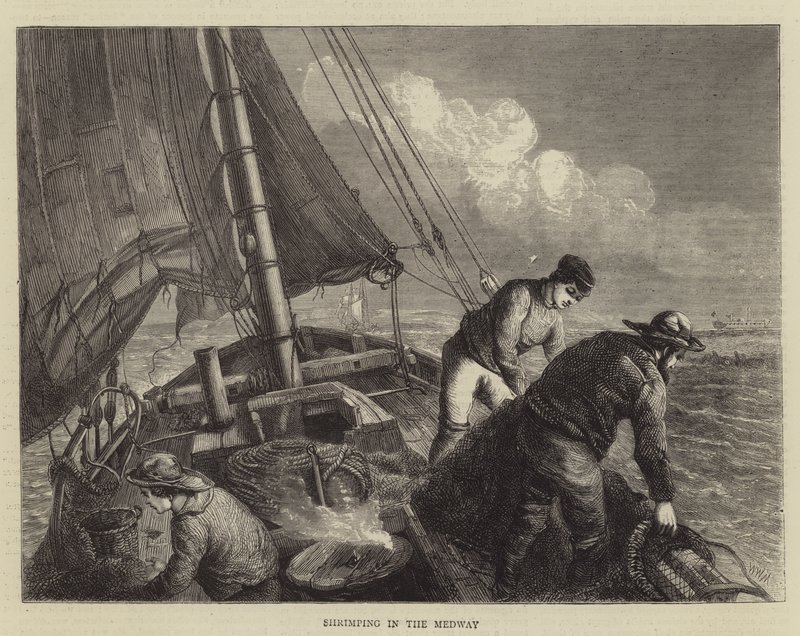 Camarão na Medway de Walter William May