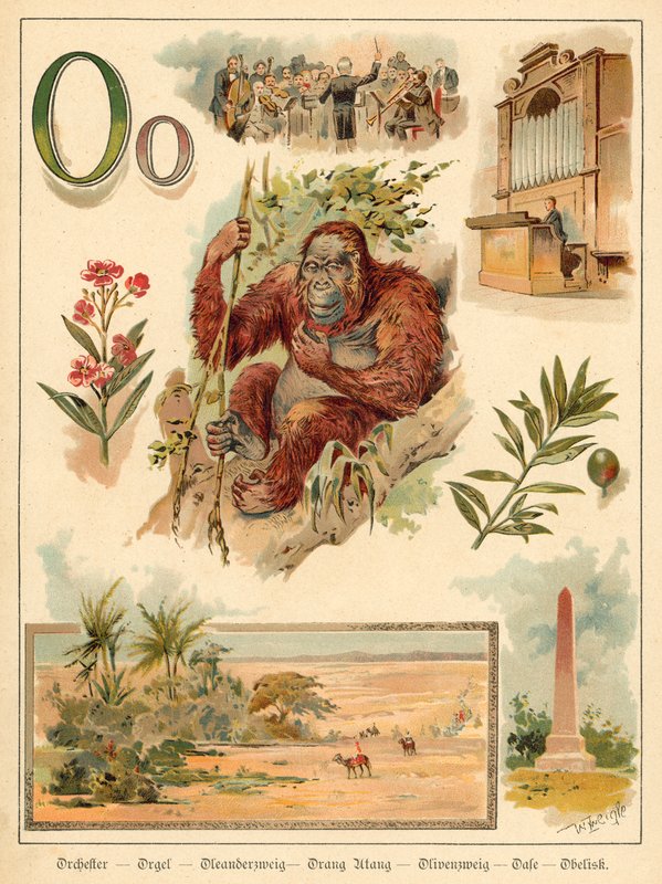 Carta O (chromolitho) de Walter Zweigle