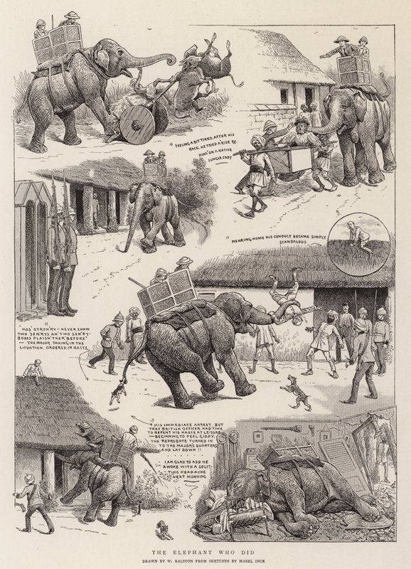 O elefante que fez de William Ralston