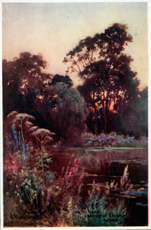 Worcester College Garden de William Matthison